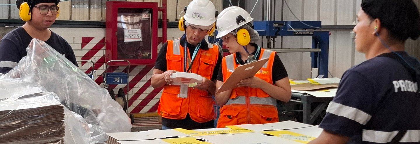 Consultoría en Ergonomía